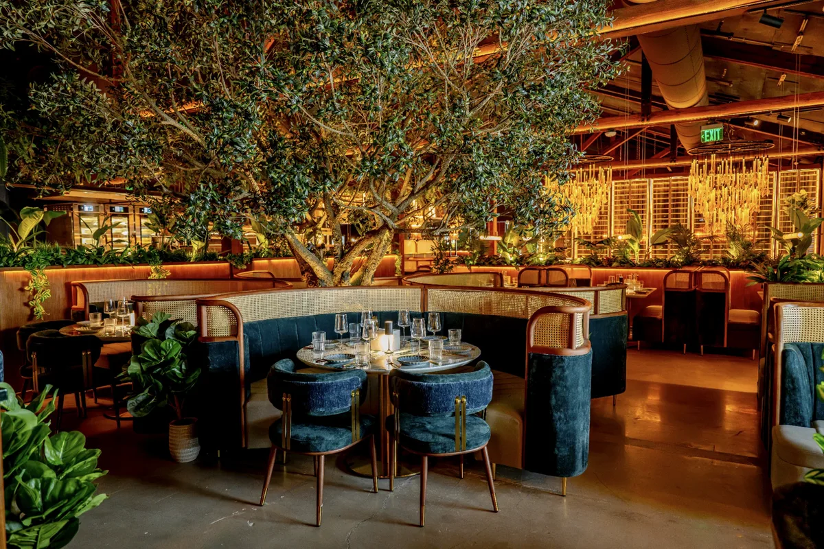 The dining room at V Modern Italian in Tampa