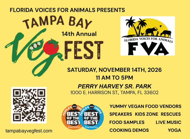 14th Annual Tampa Bay Veg Fest flyer, Perry Harvey Sr. Park, Tampa