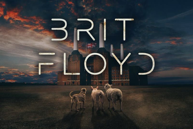 Brit Floyd live in Jacksonville